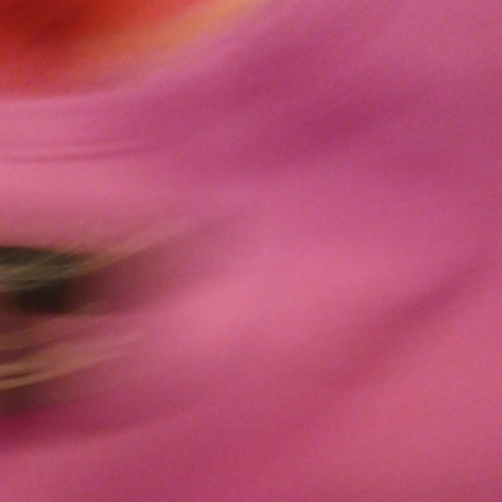 Top - Picture 7 of 7